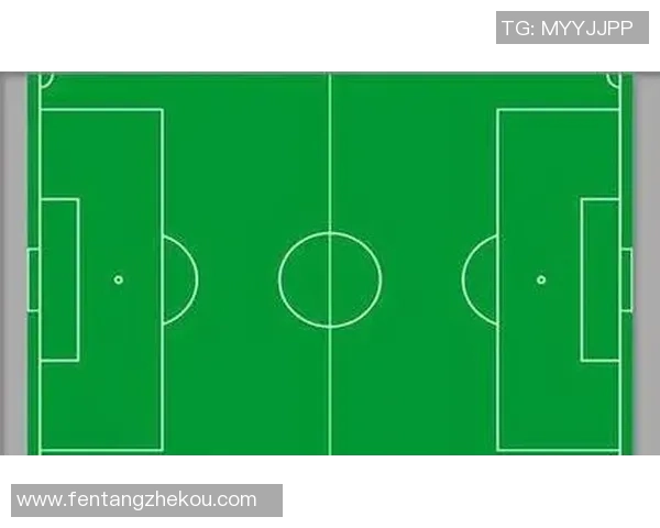 南京篮球队的战术节奏解析与深度剖析探索球队成功的关键因素