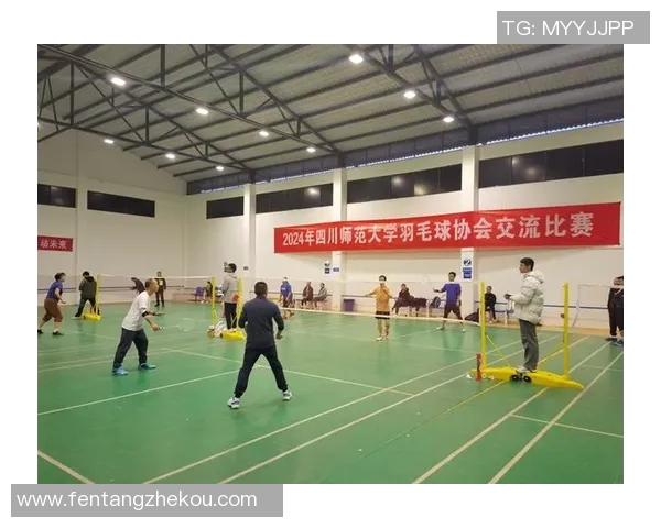 南京羽毛球队的训练与竞技状态全景揭秘羽毛球爱好者不可错过的精彩内容